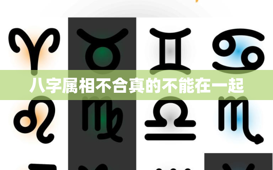 八字属相不合真的不能在一起，八字不合属相合可以在一起吗