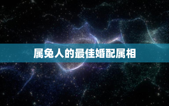 属兔人的最佳婚配属相，属鼠人的最佳婚配属相