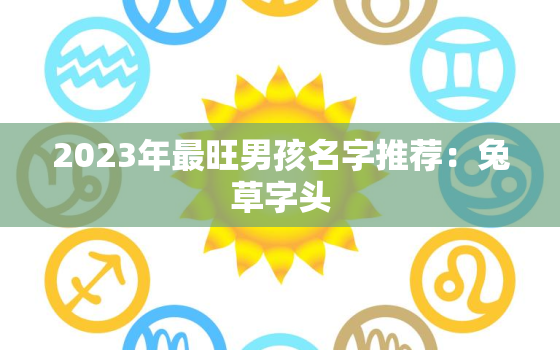 2023年最旺男孩名字推荐：兔草字头（寓意吉祥的名字）