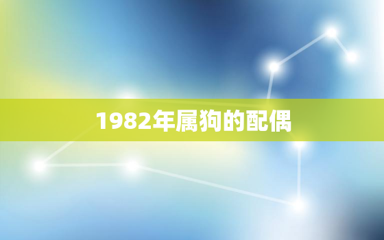 1982年属狗的配偶(讨论属相配对的喜忌)