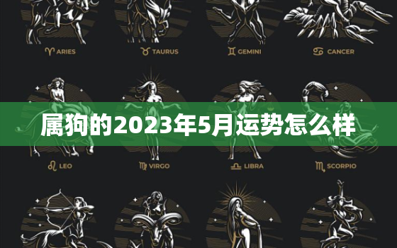 属狗的2023年5月运势怎么样(财运亨通事业顺利)