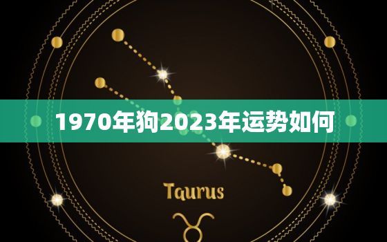 1970年狗2023年运势如何(狗年大展宏图财运亨通)