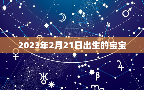 2023年2月21日出生的宝宝，2023年2月21日出生的宝宝属什么