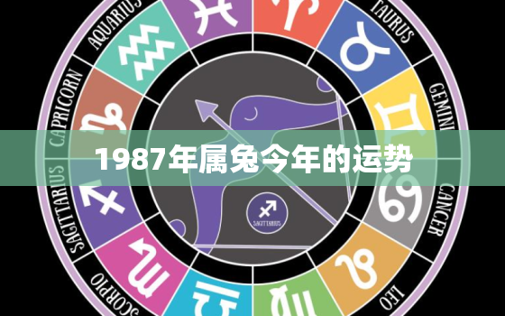 1987年属兔今年的运势，1987年属兔今年的运势和财运