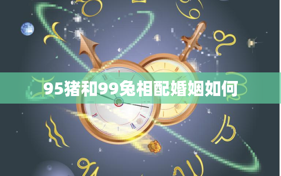 95猪和99兔相配婚姻如何，95属猪与99属兔婚姻是否相配