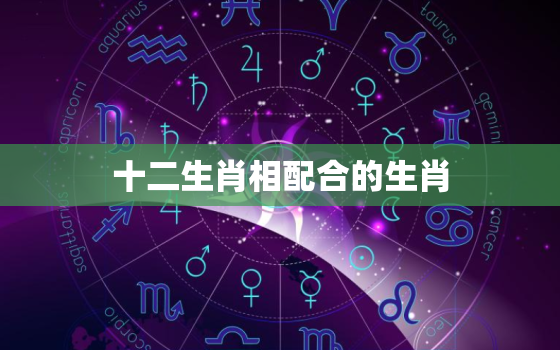 十二生肖相配合的生肖，十二生肖相合相冲相害相刑表