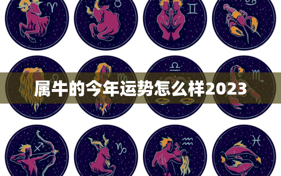 属牛的今年运势怎么样2023，属牛的今年运势怎么样2022女