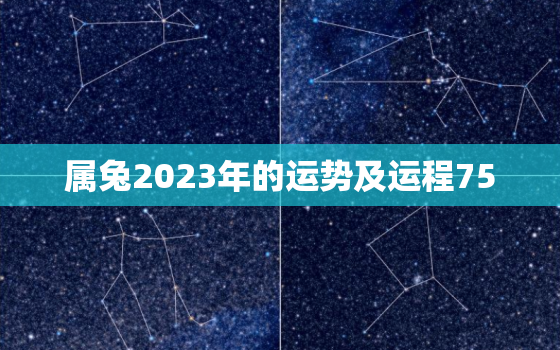 属兔2023年的运势及运程75，属兔2023年的运势及运程女