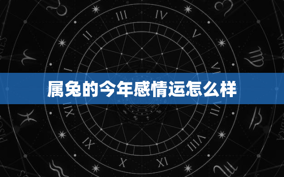 属兔的今年感情运怎么样，属兔的今年感情如何