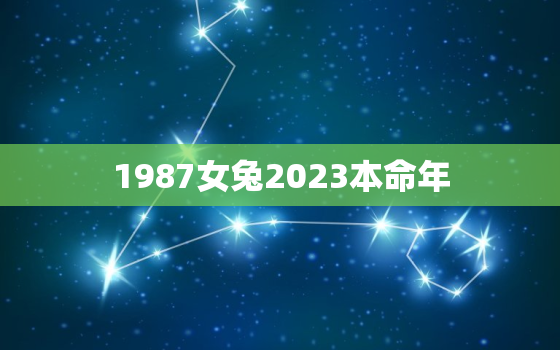 1987女兔2023本命年，87年的兔本命哪年