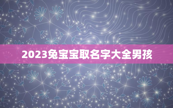 2023兔宝宝取名字大全男孩，2023年兔宝宝男孩