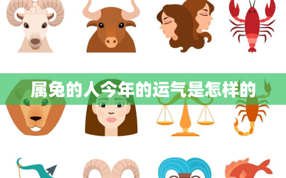 属兔的人今年的运气是怎样的，属兔的人今年运气好不好