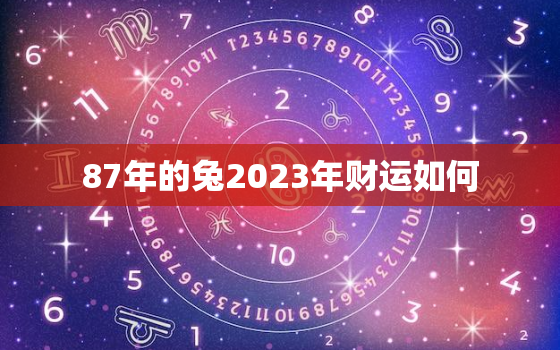 87年的兔2023年财运如何，87年属兔人在2023年的全年运势