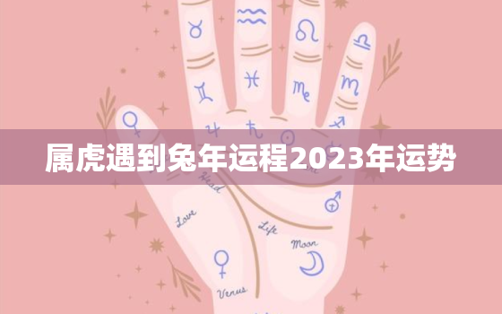 属虎遇到兔年运程2023年运势，2022年属虎和2023年属兔