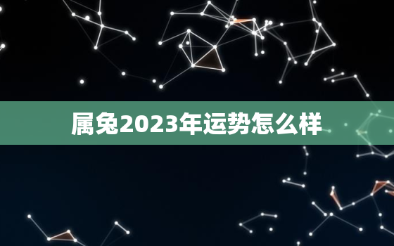 属兔2023年运势怎么样，生肖狗今年运势怎么样