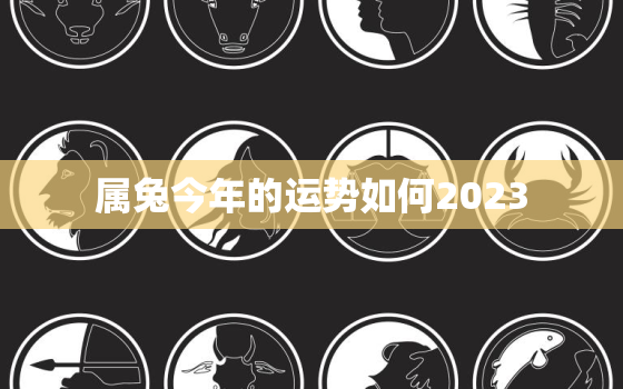 属兔今年的运势如何2023，属兔今年运势怎样