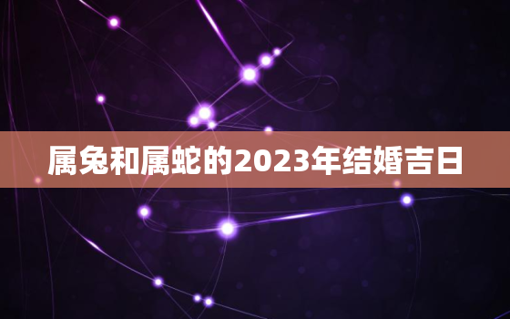 属兔和属蛇的2023年结婚吉日，属兔和属蛇2021什么时候结婚