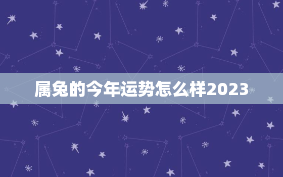 属兔的今年运势怎么样2023，属兔的今年运势怎么样2023年运程