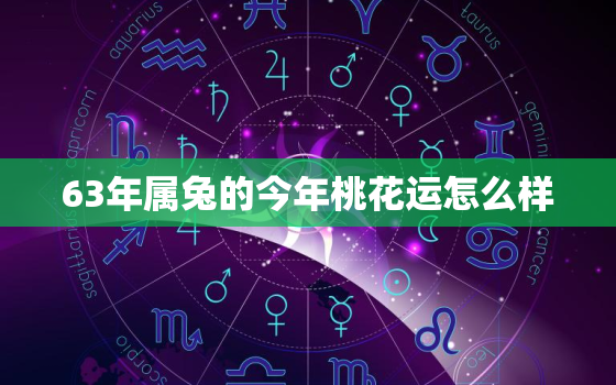 63年属兔的今年桃花运怎么样，63年的属兔,桃花运放到什么时候