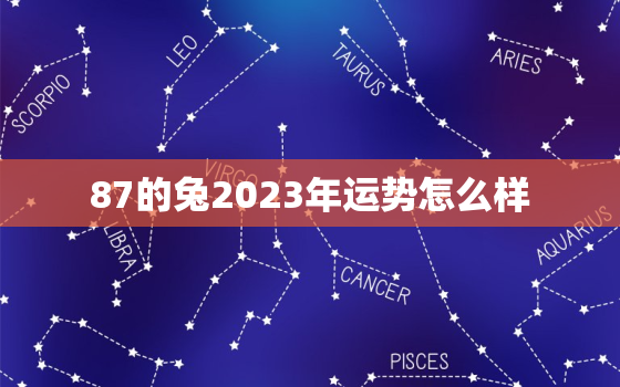 87的兔2023年运势怎么样，87年属兔人2023年运势及财运