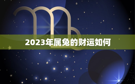 2023年属兔的财运如何，2023年属兔的财运如何