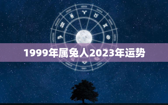 1999年属兔人2023年运势，今年属兔人的运势