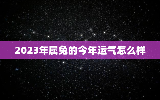 2023年属兔的今年运气怎么样，2023年属兔运势及运程