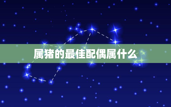 属猪的最佳配偶属什么，属猪的最佳配偶属相是什么属相