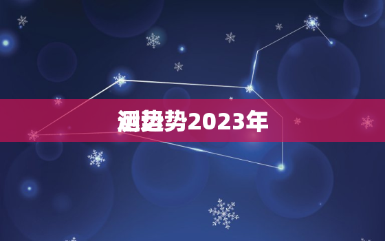 测运势2023年
运势，2023年
测试运气