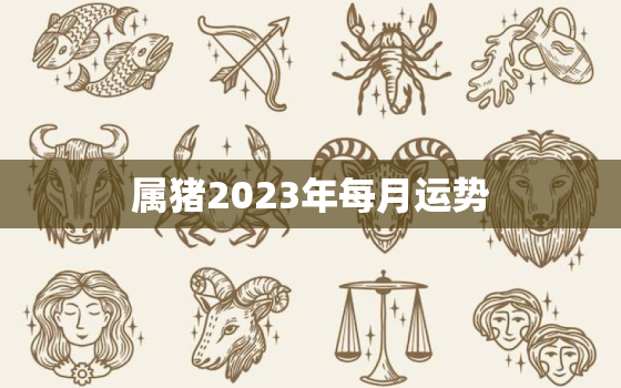 属猪2023年每月运势，生肖猪2023年的运势