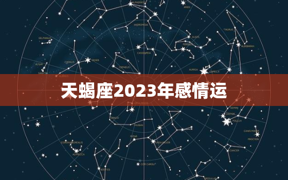 天蝎座2023年感情运，天蝎2023年最终感情走向