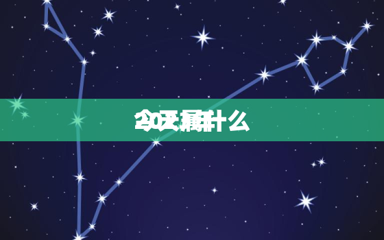 2023年
今天属什么，2023年
今天属什么年