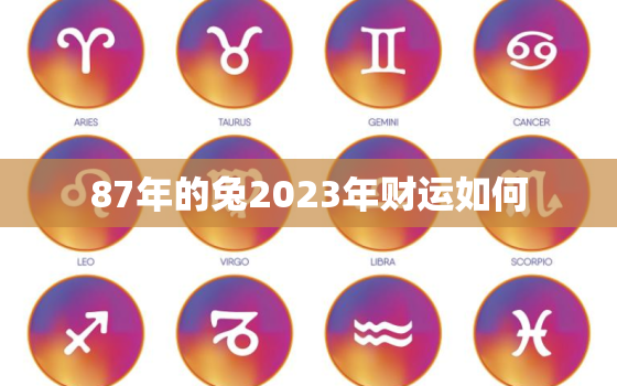 87年的兔2023年财运如何，87年属兔人最穷不过36岁