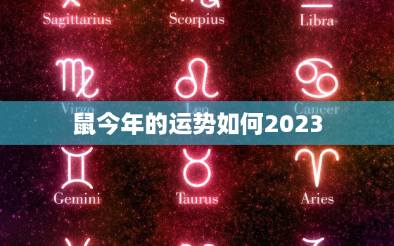 鼠今年的运势如何2023，马今年的运势如何2023