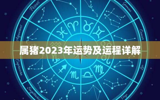 属猪2023年运势及运程详解，猪年2023年运势及运程