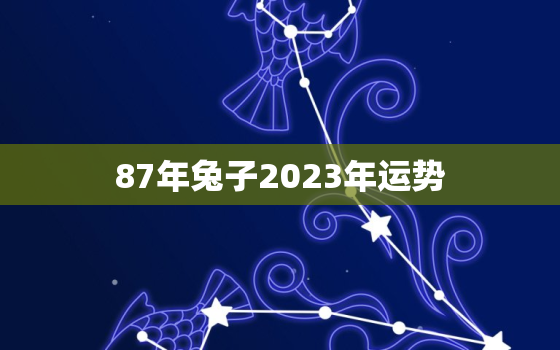 87年兔子2023年运势，87年属兔人最穷不过36岁