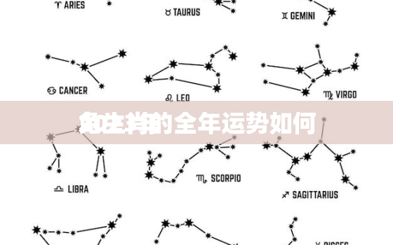 2023年
兔生肖的全年运势如何，2023年
兔生肖运势详解