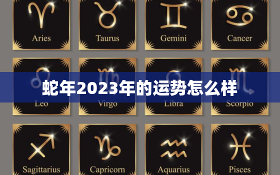 蛇年2023年的运势怎么样，蛇年在2023年运势