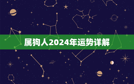 属狗人2024年运势详解，属狗的2024年运势