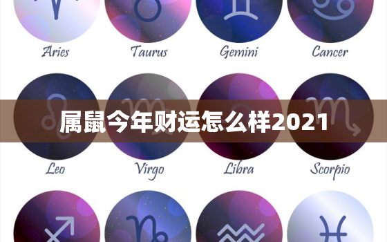 属鼠今年财运怎么样2021，属鼠今年财运怎么样2022