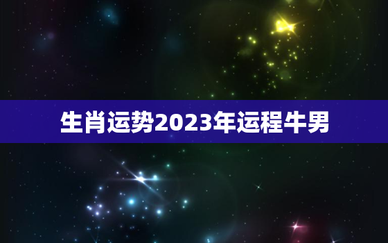 生肖运势2023年运程牛男，2023年牛人运势运程