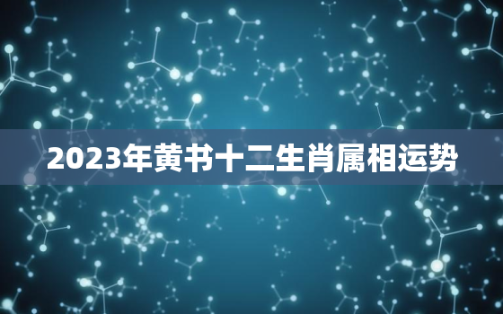 2023年黄书十二生肖属相运势，2023 生肖