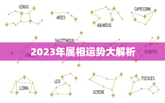 2023年属相运势大解析，农历网2023年生肖运势查询