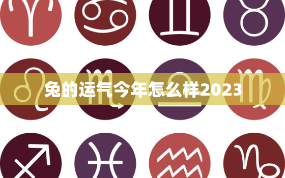 兔的运气今年怎么样2023，兔的运气今年怎么样2023年运势