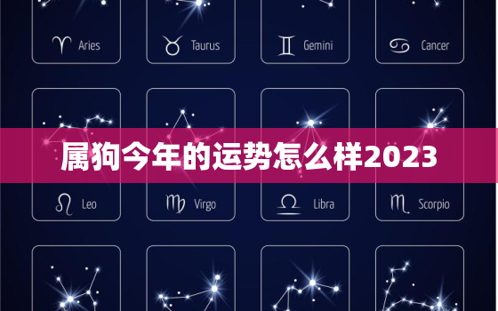 属狗今年的运势怎么样2023，82属狗今年的运势怎么样2023