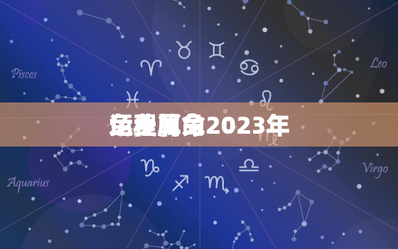 免费算命2023年
运程属兔，免费算命2023年
运势属兔