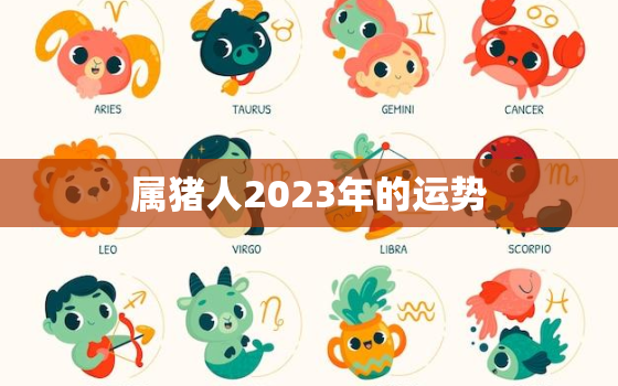 属猪人2023年的运势，属猪人2023年的运势及运程