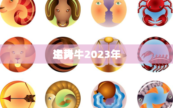 生肖牛2023年
运势，生肖牛2023年
运势大全