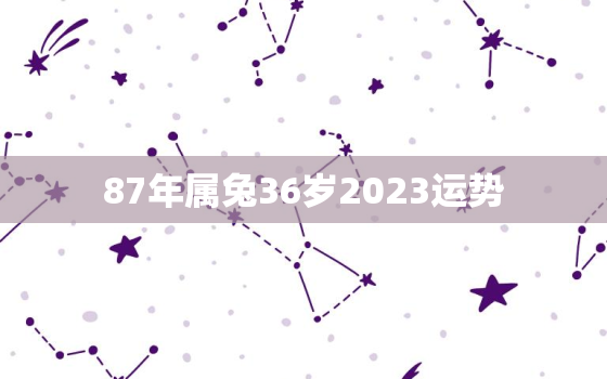 87年属兔36岁2023运势，87年属兔36岁2023运势豆瓣