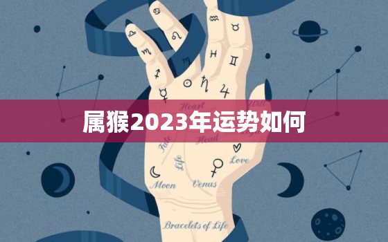 属猴2023年运势如何，属猴的运势怎么样2023